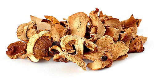 Hongos